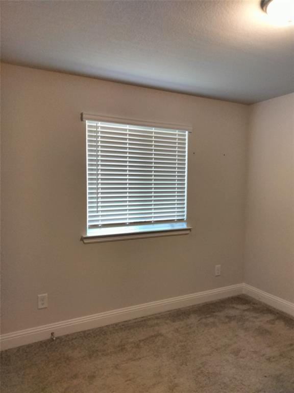 223 Fairmont Drive, Princeton TX 75407 - Photo 11