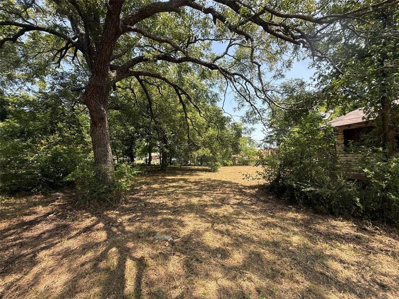 204 W Maple Street, Whitewright TX 75491 - Photo 15