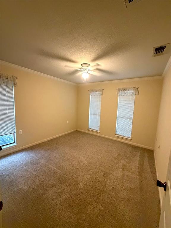 517 E Locust Street, Nocona TX 76255 - Photo 23