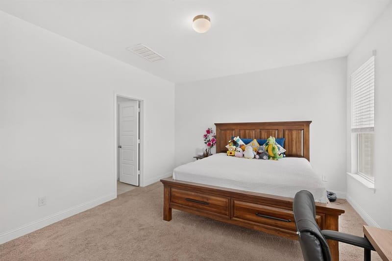 980 Burnett Drive, Aubrey TX 76227 - Photo 15