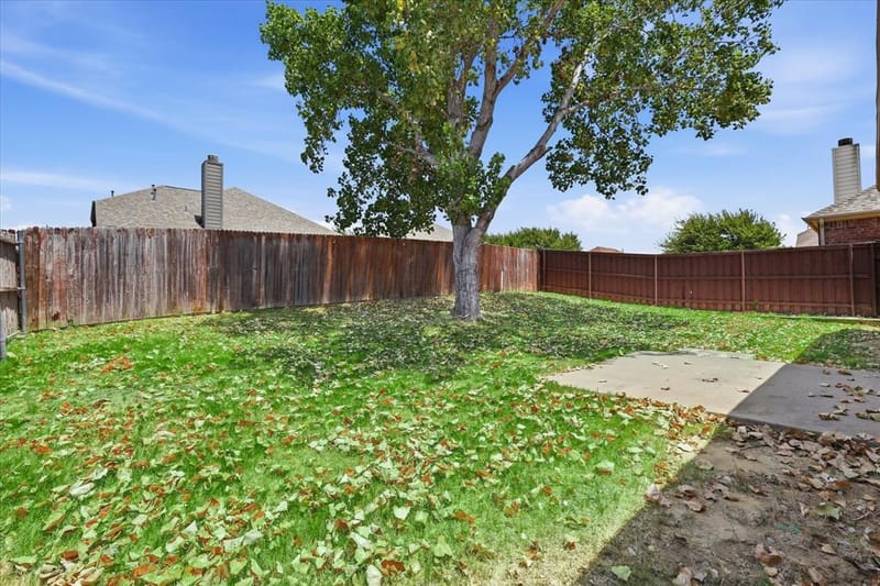 2725 Waterdance Drive, Little Elm TX 75068 - Photo 20
