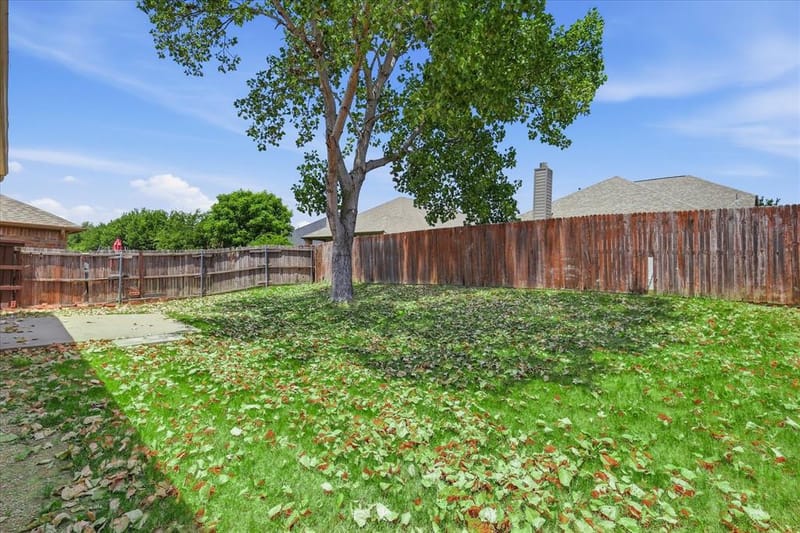 2725 Waterdance Drive, Little Elm TX 75068 - Photo 21