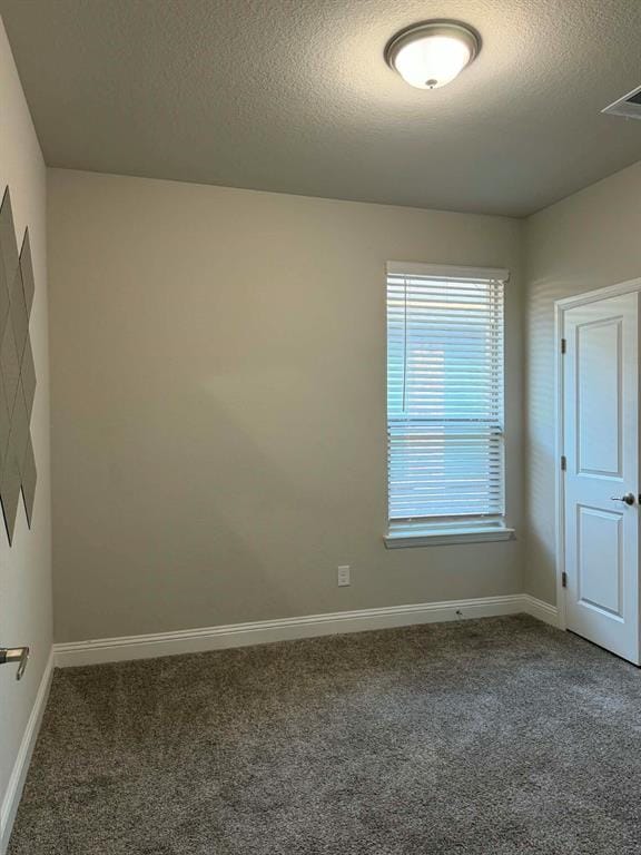 1033 Almond Street, Hickory Creek TX 75065 - Photo 12
