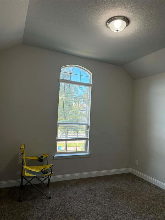1033 Almond Street, Hickory Creek TX 75065 - Photo 15
