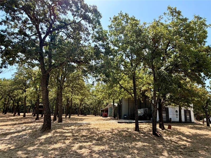 459 County Road 1742, Chico TX 76431 - Photo 37