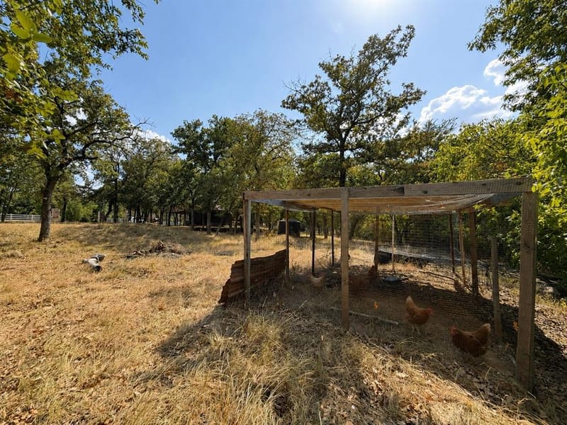 469 County Road 1743, Chico TX 76431 - Photo 29