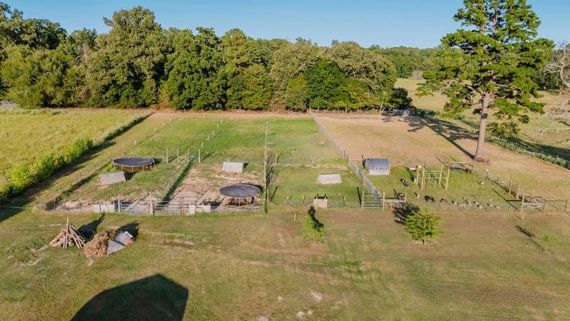 2140 County Road 4778, Winnsboro TX 75494 - Photo 12