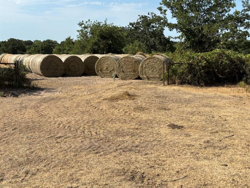 868 Nored Road, Forestburg TX 76239 - Photo 23