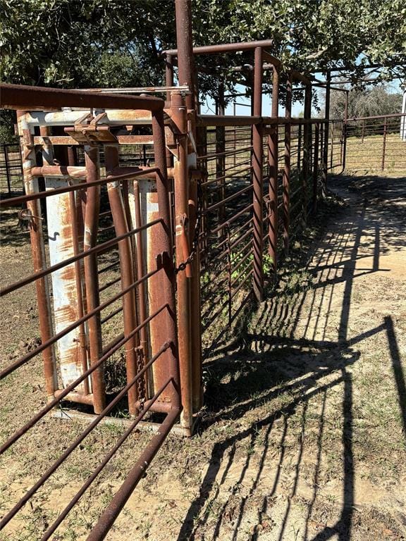 868 Nored Road, Forestburg TX 76239 - Photo 27
