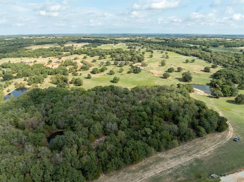 868 Nored Road, Forestburg TX 76239 - Photo 15