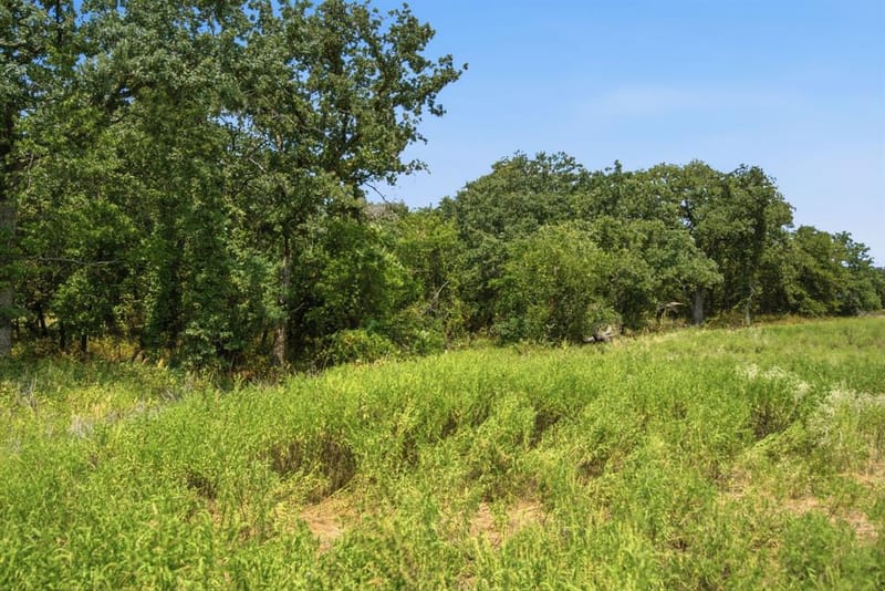 374 Clark Lake Road, Weatherford TX 76088 - Photo 36
