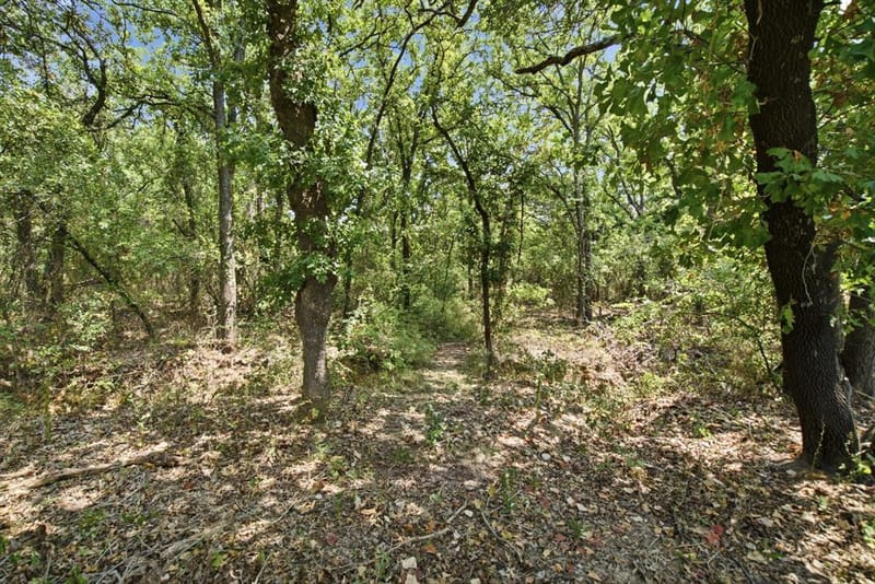 374 Clark Lake Road, Weatherford TX 76088 - Photo 34