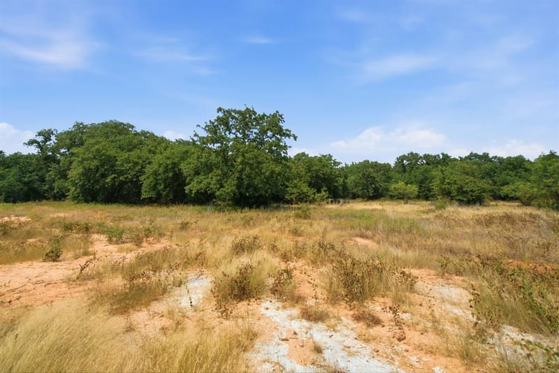 374 Clark Lake Road, Weatherford TX 76088 - Photo 37