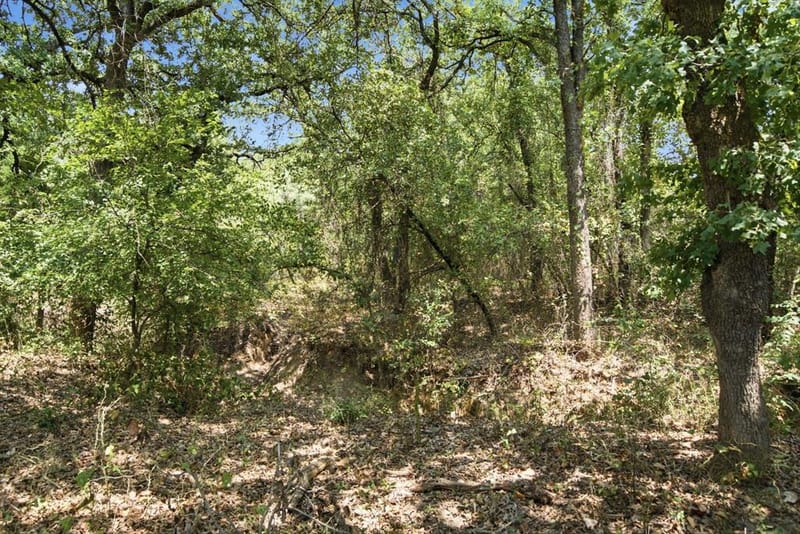 374 Clark Lake Road, Weatherford TX 76088 - Photo 35