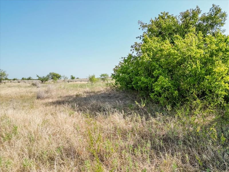 3966 Fm 2210 E, Perrin TX 76486 - Photo 25