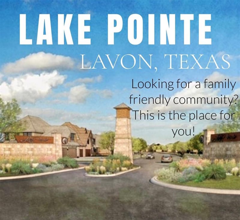 305 Chase Creek Drive, Lavon TX 75166 - Photo 36