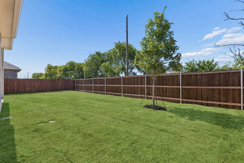 1019 Goldenrod Drive, Justin TX 76247 - Photo 28