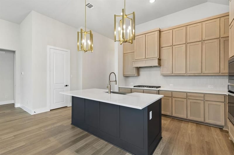 1017 Goldenrod Drive, Justin TX 76247 - Photo 4