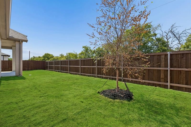 1005 Goldenrod Drive, Justin TX 76247 - Photo 29