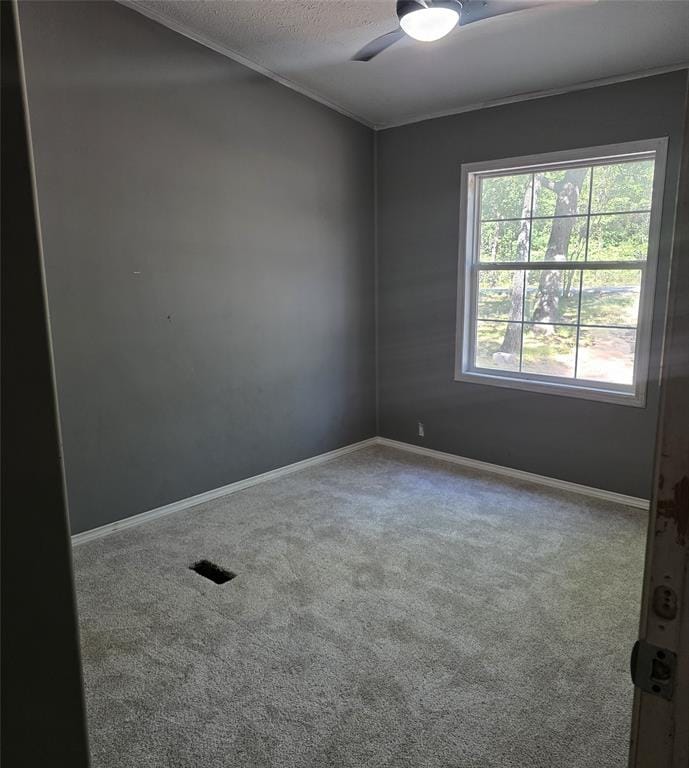 15810 S 3rd Street, Scurry TX 75158 - Photo 31