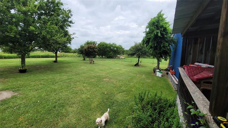 104 Mimosa Way, Venus TX 76084 - Photo 20