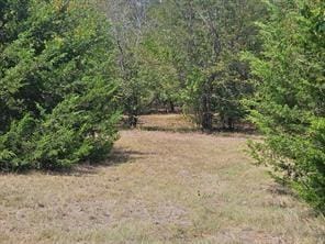 2611 Zachary Drive, Blue Ridge TX 75424 - Photo 16
