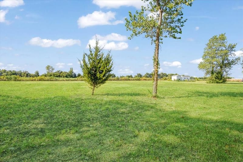 300 Private Road 36008, Honey Grove TX 75446 - Photo 34