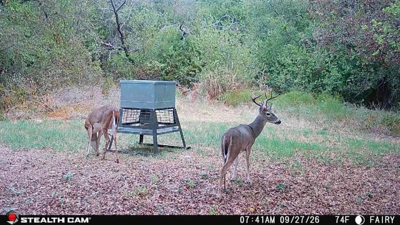 Fm 210 Fm 219, Hico TX 76457 - Photo 13