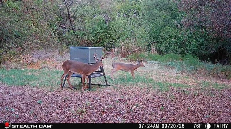 Fm 210 Fm 219, Hico TX 76457 - Photo 14