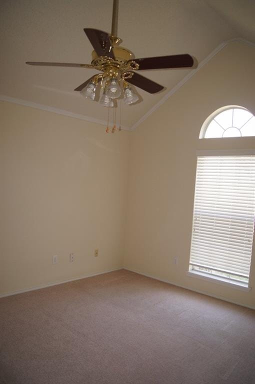 8317 Spinnaker Cove, Rowlett TX 75089 - Photo 8
