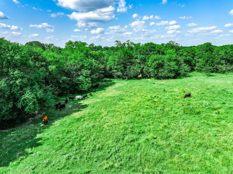 7801 W Interstate Highway 30, Cumby TX 75433 - Photo 20