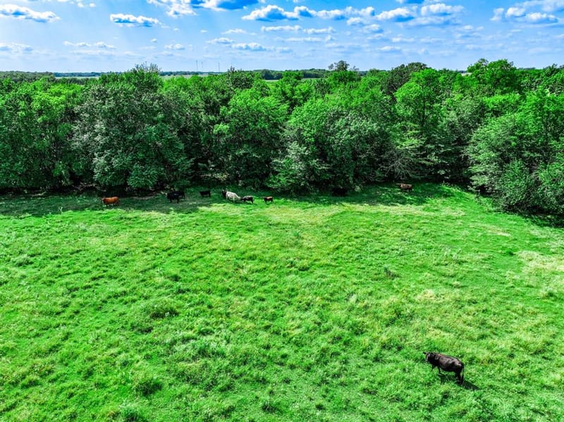 7801 W Interstate Highway 30, Cumby TX 75433 - Photo 19