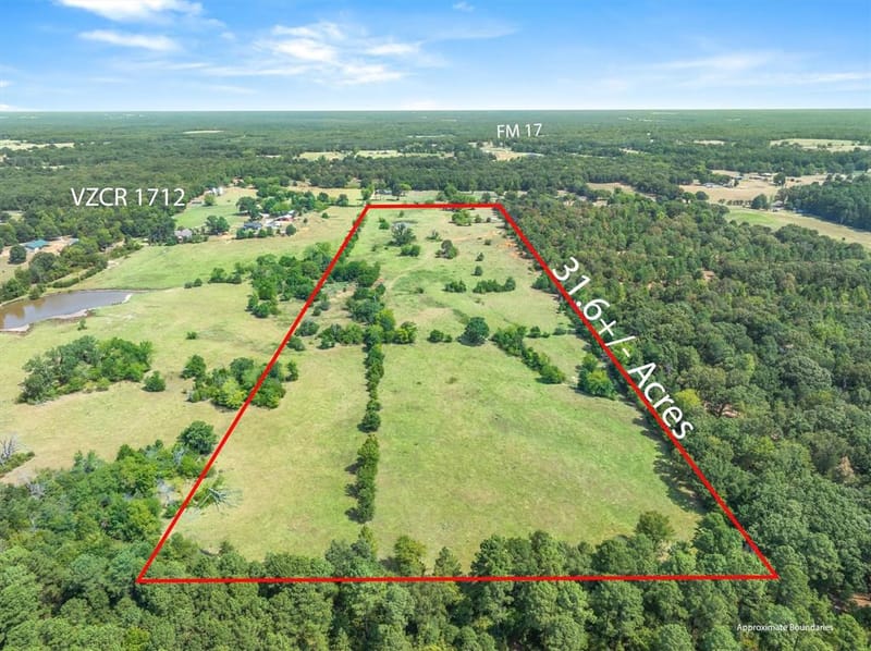 3183 Vz County Road 1712, Grand Saline TX 75140 - Photo 2