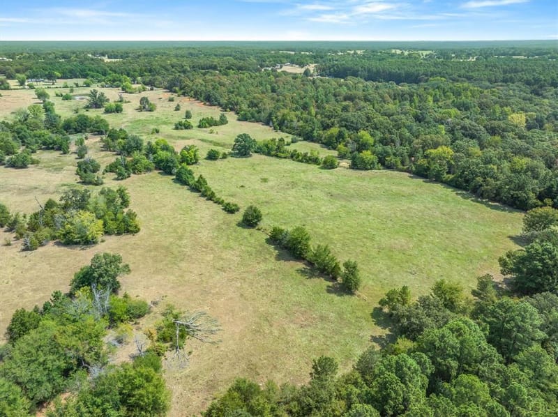 3183 Vz County Road 1712, Grand Saline TX 75140 - Photo 6