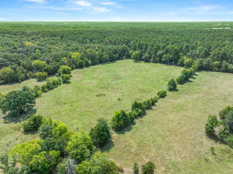 3183 Vz County Road 1712, Grand Saline TX 75140 - Photo 7