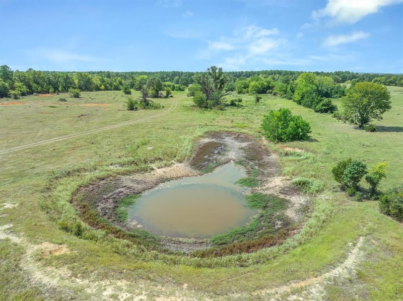 3183 Vz County Road 1712, Grand Saline TX 75140 - Photo 9