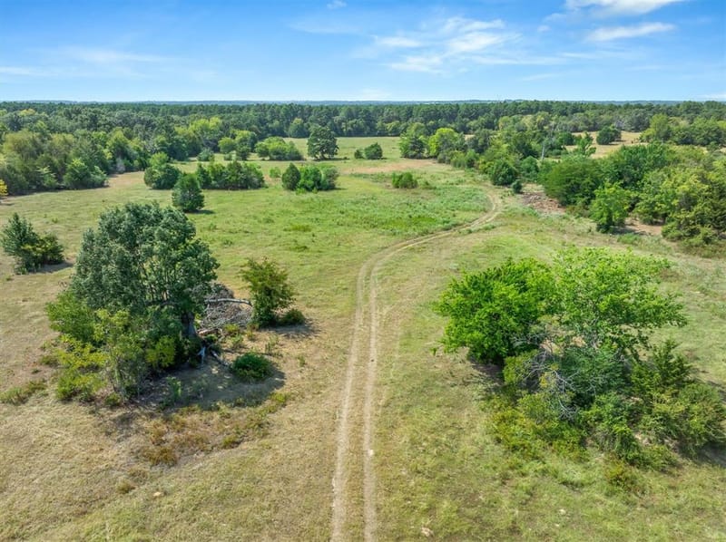3183 Vz County Road 1712, Grand Saline TX 75140 - Photo 10