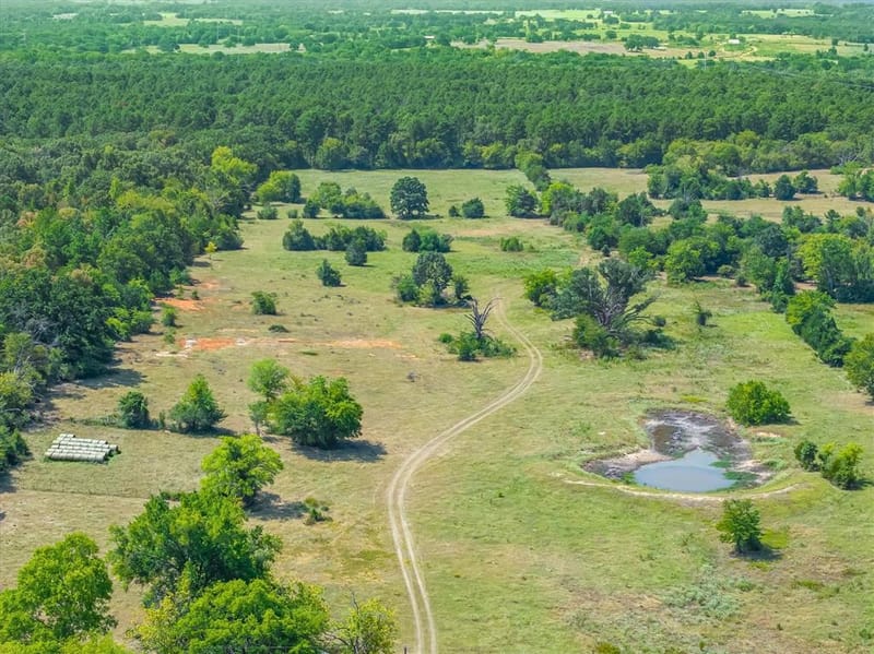 3183 Vz County Road 1712, Grand Saline TX 75140 - Photo 14