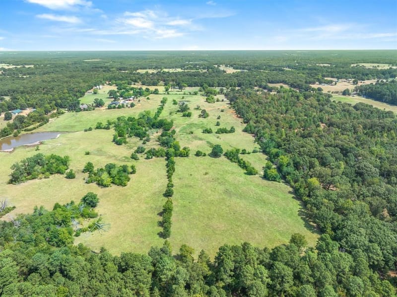 3183 Vz County Road 1712, Grand Saline TX 75140 - Photo 8