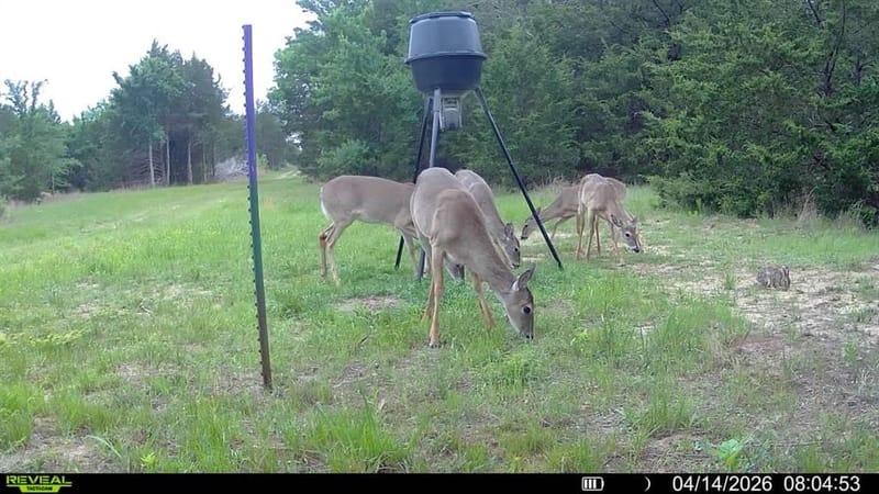 7032 Fm 1567, Lone Oak TX 75453 - Photo 32