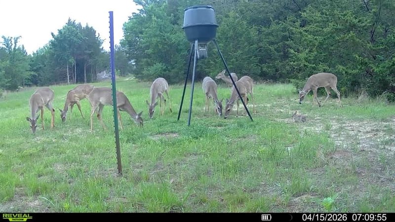 7032 Fm 1567, Lone Oak TX 75453 - Photo 31