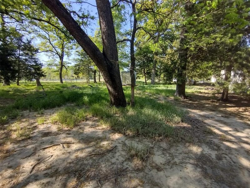 279 Vz County Road 3849, Wills Point TX 75169 - Photo 12