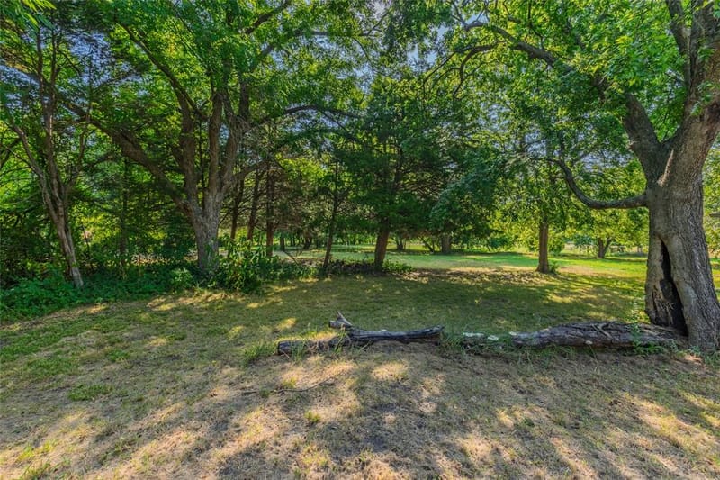 4666 Fm 1569, Farmersville TX 75442 - Photo 9