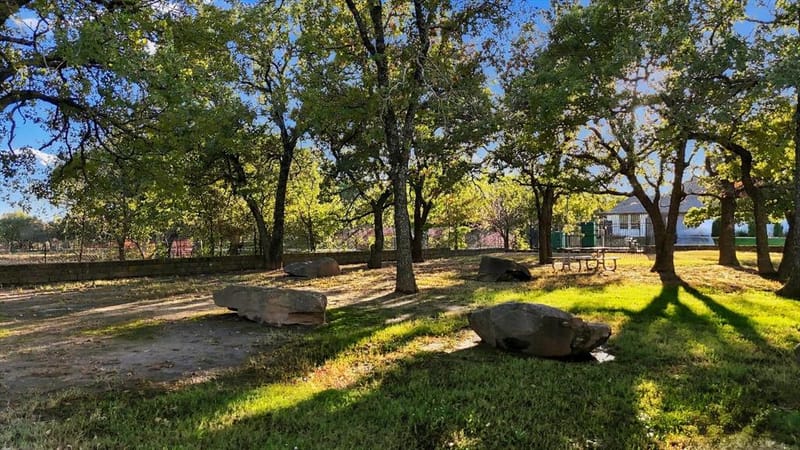 412 Nora Lane, Argyle TX 76226 - Photo 36