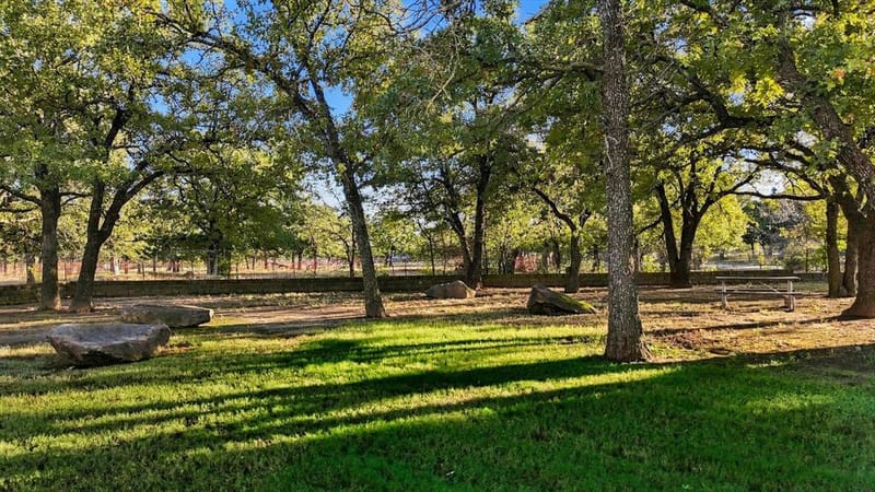 412 Nora Lane, Argyle TX 76226 - Photo 35