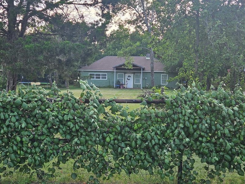 138 County Road 4876, Newark TX 76071 - Photo 5