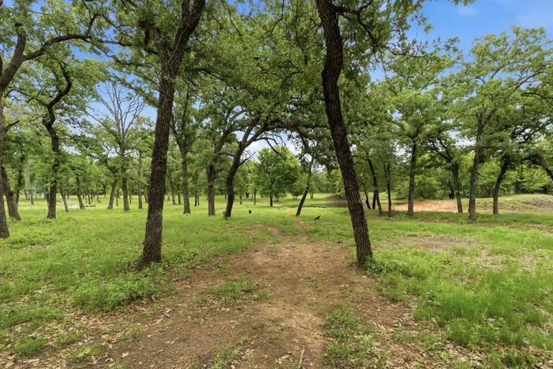 1012 Cheyenne Road, Poolville TX 76487 - Photo 35