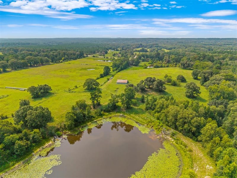 3349 E State Highway 154, Quitman TX 75783 - Photo 2