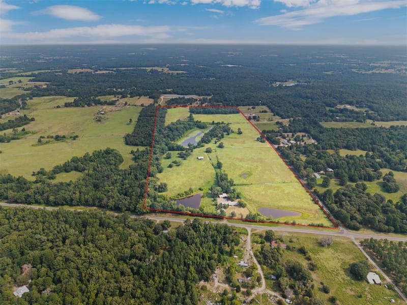 3349 E State Highway 154, Quitman TX 75783 - Photo 32