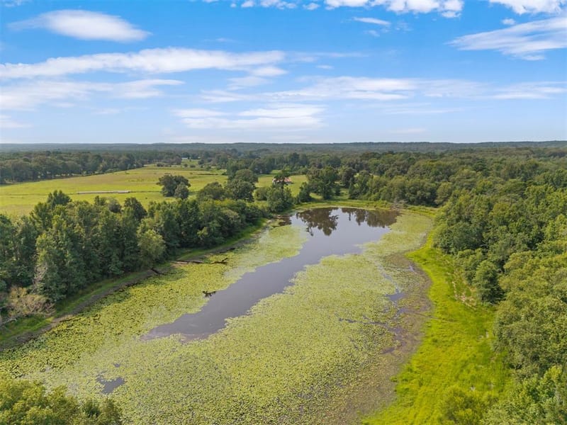 3349 E State Highway 154, Quitman TX 75783 - Photo 30